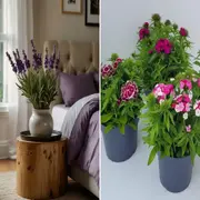 Plantas que repelen mosquitos en el verano, y además decoran.