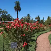 Ubicados en Palermo, Puerto Madero y Parque Chacabuco, estos oasis prácticamente ocultos resultan refugios ideales en estas fechas