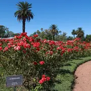 Ubicados en Palermo, Puerto Madero y Parque Chacabuco, estos oasis prácticamente ocultos resultan refugios ideales en estas fechas