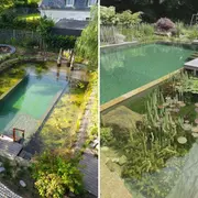 Biopiletas: cómo funcionan realmente y por qué redefinen las piletas en casas modernas.