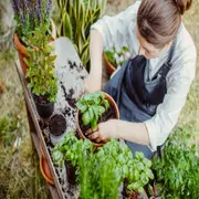 El lemonading se perfila como una tendencia clave en paisajismo: una actitud que invita a rediseñar nuestros jardines con ingenio, adaptabilidad y un profundo respeto por los ciclos naturales.