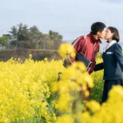 K-Dramas y vínculos conscientes: qué aprendimos sobre el amor viendo ficciones coreanas.