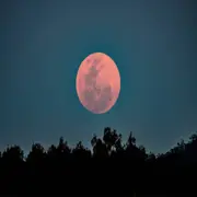Luna llena rosa
