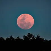 Luna llena rosa