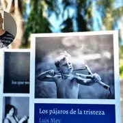 Luis Mey: la infancia herida en la novela Los pájaros de la tristeza