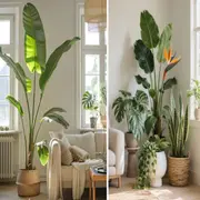 Incorporar plantas de gran porte en el living no solo suma verde: redefine el espacio.