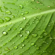 El agua es el elemento fundamental en el desarrollo de nuestro planeta. Usarla con responsabilidad es nuestro compromiso.