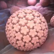 El HPV es responsable de más del 95% de casos de carcinoma de cérvix