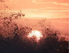 Atardecer en el Chorro, Punta del Este