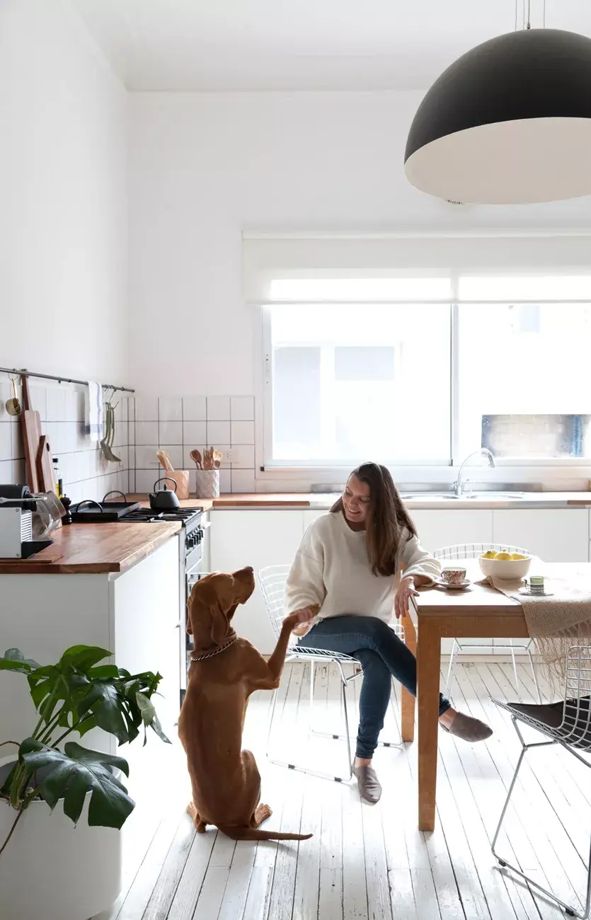 En Acassuso: una casa chorizo reformada, que se adapta al estilo de vida de  su dueña - Ohlalá