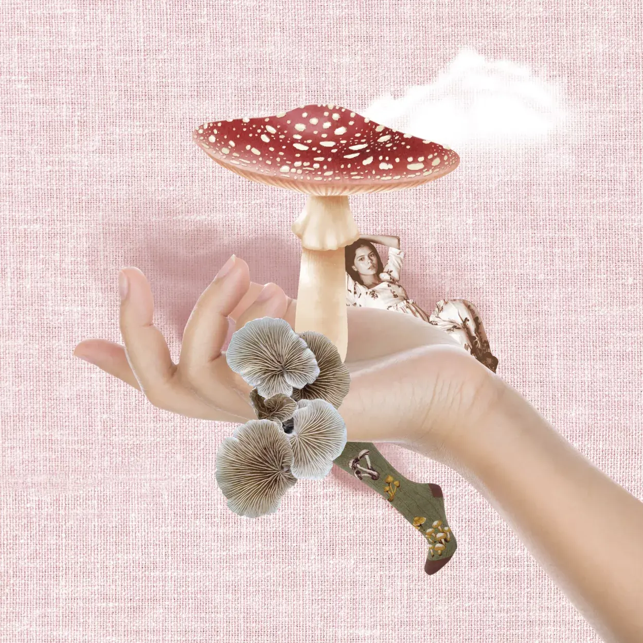 Hongos 🍄., image size:1250x1250