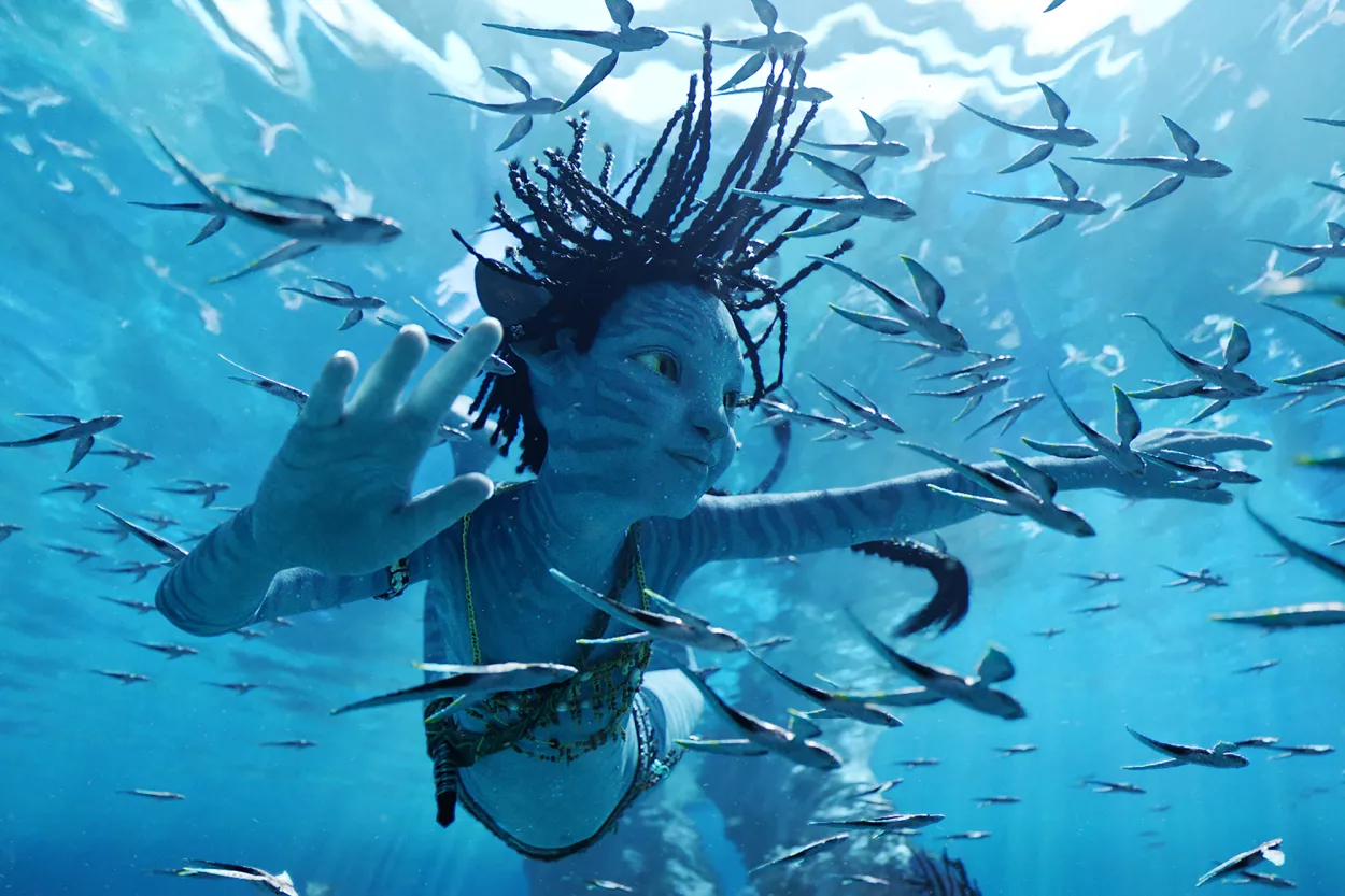 Avatar: el camino del agua, qué tenés que saber sobre el regreso de James  Cameron - Ohlalá