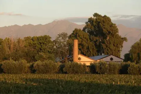 Un paisaje de ensueño de Bodegas Lagarde en Mendoza. Un paisaje de ensueño de Bodegas Lagarde en Mendoza.