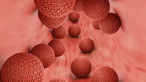Conocer el cuello del útero es clave para prevenir HPV. Conocer el cuello del útero es clave para prevenir HPV.