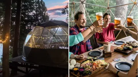 Patagonia Microcervecería