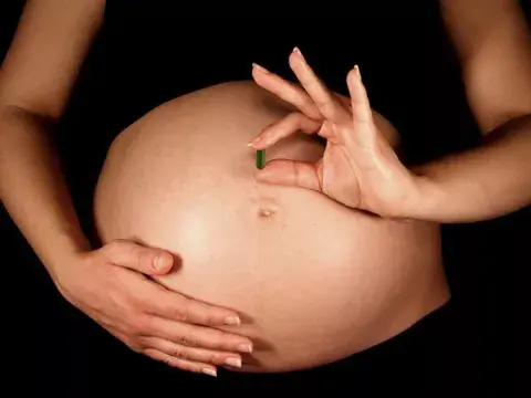 Muchas mujeres consumen su propia placenta luego de ser procesada y almacenada en cápsulas. Muchas mujeres consumen su propia placenta luego de ser procesada y almacenada en cápsulas.