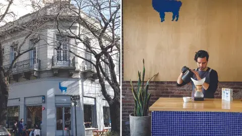 Llama Coffee Roasters Llama Coffee Roasters
