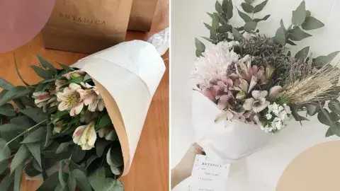 BOTÁNICA BOTÁNICA