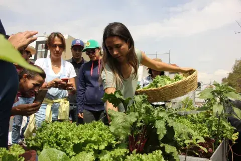 “La huerta es una excusa para conectar con la naturaleza, desde un balcón, terraza o ventana incluso”, afirma Florencia Gallino, creadora de Sitopia. “La huerta es una excusa para conectar con la naturaleza, desde un balcón, terraza o ventana incluso”, afirma Florencia Gallino, creadora de Sitopia.