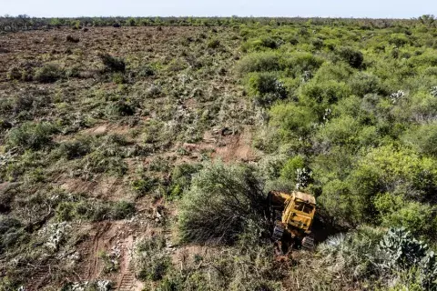 Deforestación en Chaco