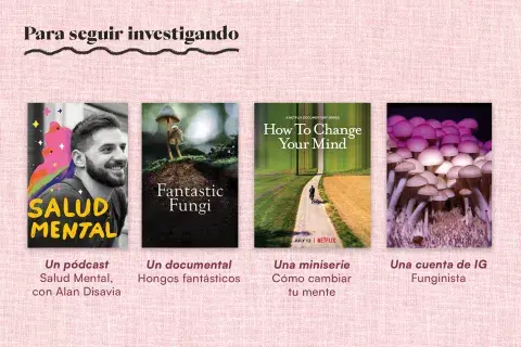 Para que sigas investigando sobre el boom fungi. Para que sigas investigando sobre el boom fungi.