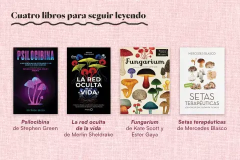 Para seguir leyendo sobre el boom fungi Para seguir leyendo sobre el boom fungi