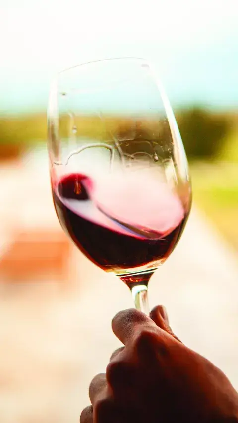mendoza-vino.jpg mendoza-vino.jpg