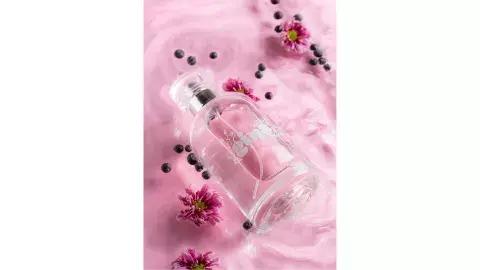 Gina EDT