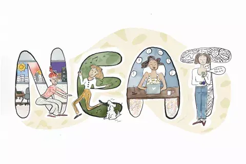 neat-ilustracion.png neat-ilustracion.png