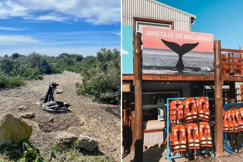 Los imperdibles de Puerto Madryn. Los imperdibles de Puerto Madryn.