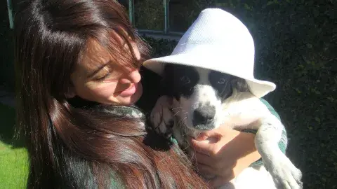 Los perros adoptados se llevan bien con los sombreros Los perros adoptados se llevan bien con los sombreros