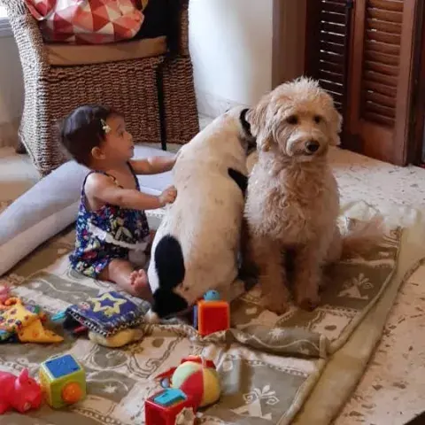 Los niños conectan de forma especial con los perros Los niños conectan de forma especial con los perros