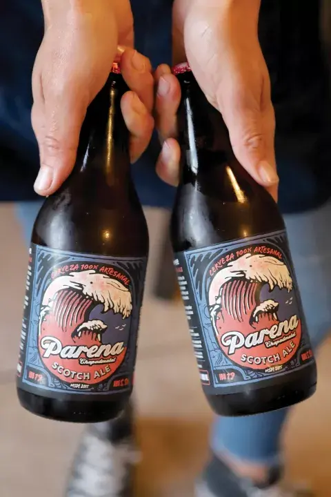 Dos manos sosteniendo botellas de cerveza. Dos manos sosteniendo botellas de cerveza.