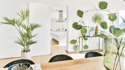 deco-renovar2.png