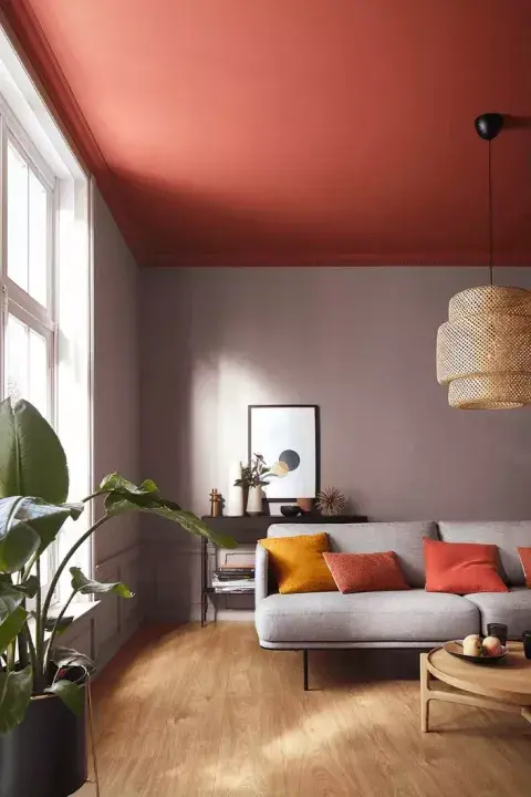 techo-color-4-pinterest.webp