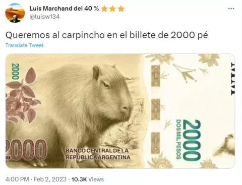 bille.png