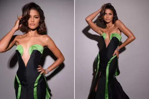El vestido vintage de Zendaya. El vestido vintage de Zendaya.