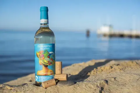 La primera bodega con el corcho ecológico.