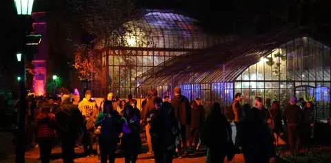 Tragos, música y mujeres líderes de la industria vitivinícola. Tragos, música y mujeres líderes de la industria vitivinícola.