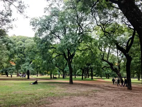 Es muy importante tener más espacios verdes, del estilo de los bosques de Palermo para reducir el impacto de las olas de calor.
