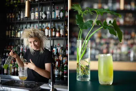tragos02.jpg tragos02.jpg