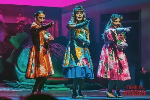 Las chicas de Vocat son el trío responsable de narrar esta historia. Las chicas de Vocat son el trío responsable de narrar esta historia.