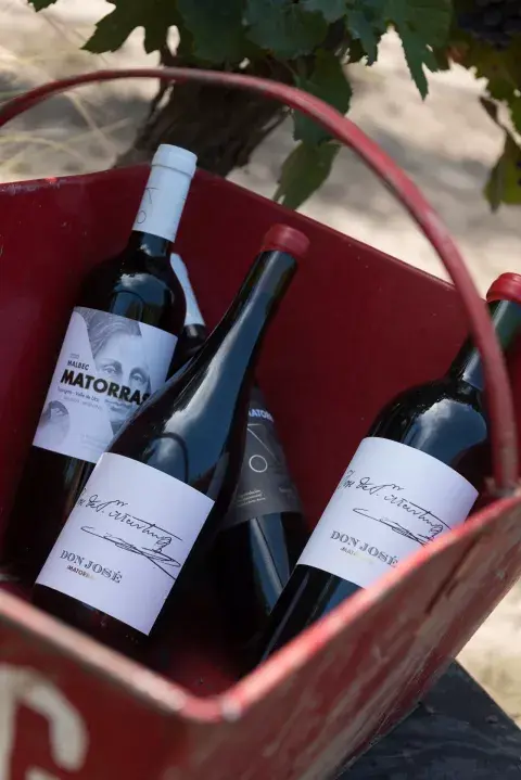 iMatorras Bodegas y Viñedos es una bodega nueva que se presentó hace muy poquito en el mercado. iMatorras Bodegas y Viñedos es una bodega nueva que se presentó hace muy poquito en el mercado.