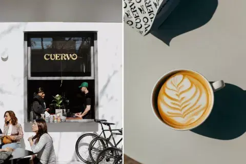 Cuervo café es uno de los favoritos de todos los amantes del café. Cuervo café es uno de los favoritos de todos los amantes del café.