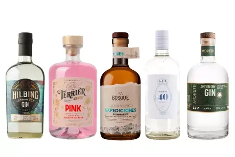 5 botellas de gin que nos copan.