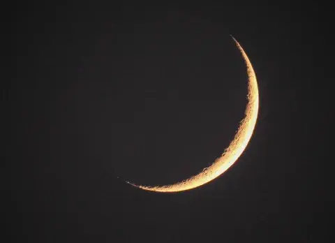 Luna nueva Luna nueva