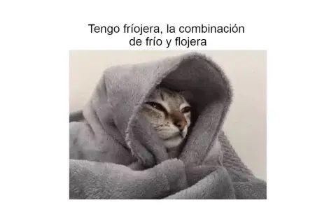 frio_4.jpg frio_4.jpg