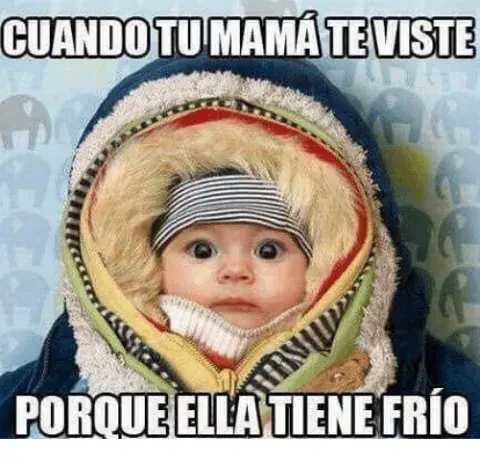 frio_7.webp frio_7.webp