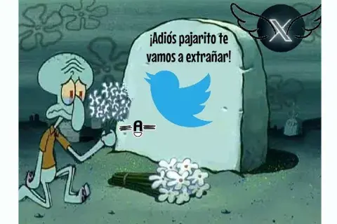 memestwitter_1.jpg memestwitter_1.jpg