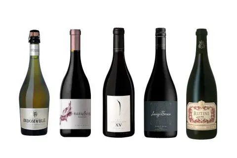 5 botellas de Pinot que nos copan. 5 botellas de Pinot que nos copan.